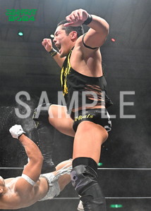 DRAGONGATE__THE GATE OF DESTINY 2024_35