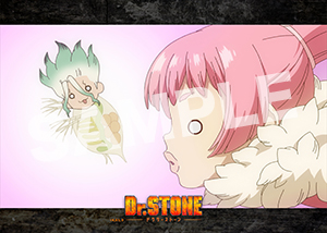 Dr Stone 2期第2話08