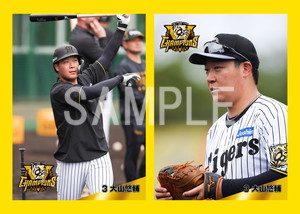 大山悠輔 阪神タイガース 優勝記念 選手顔イラストTシャツ クリア