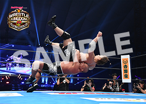 NJPW__0104　第3試合　07