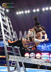 ポストカード】新日本プロレス 14枚セット＋撮り下ろし生写真