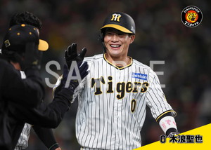 阪神タイガース 木浪聖也選手O チャンピオンユニフォーム 2024年