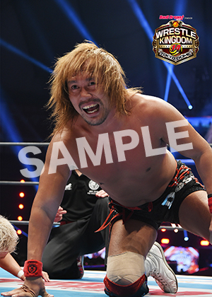 NJPW__0105　第8試合　28