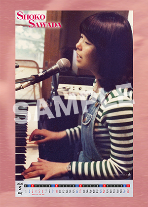 沢田聖子 年5月a