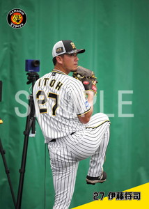 伊藤将司 チャンピオンユニフォーム 阪神タイガース 応援グッズ