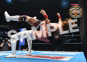 NJPW__0104　第7試合　25