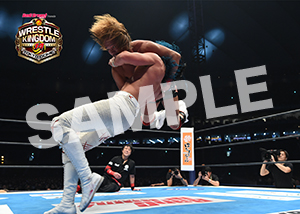 NJPW__0104　第7試合　28