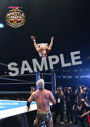 NJPW__0104　第8試合　19