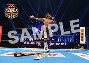 NJPW__0105　第8試合　35