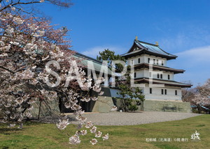 岡泰行__24_松前城（北海道）