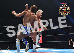 NJPW__0104　第8試合　30