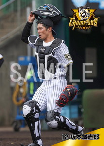 阪神優勝2025__坂本誠志郎03