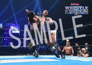 NJPW__IWGPtag 02