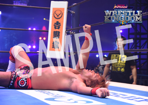 NJPW__IC 11