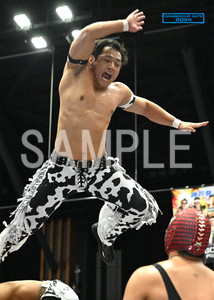 DRAGONGATE__DANGEROUS GATE 2024_15