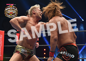 NJPW__0105　第8試合　24