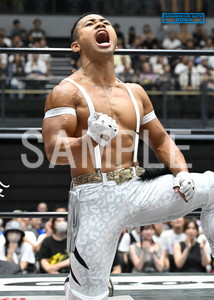 DRAGONGATE__DANGEROUS GATE 2024_14