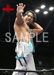 DRAGONGATE__THE GATE OF BAYSIDE 2025_02