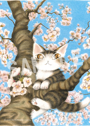 猫のダヤン__桜色の風