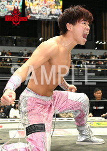 DRAGONGATE__THE GATE OF BAYSIDE 2025_12