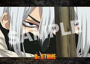 Dr Stone 2期第8話16